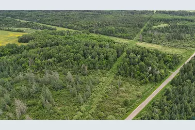 3Xxx Quaal Rd, Forbes, MN 55738 - Photo 19