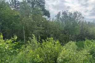 3Xxx Quaal Rd, Forbes, MN 55738 - Photo 1