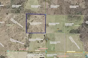 Near Visocky Rd, Delta, WI 54856 - Photo 1