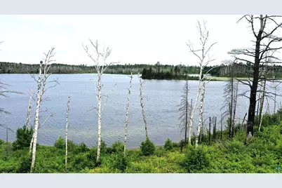 2377 N McDougal Lake Rd, Isabella, MN 55607 - Photo 1