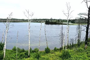 2377 N McDougal Lake Rd, Isabella, MN 55607 - Photo 1
