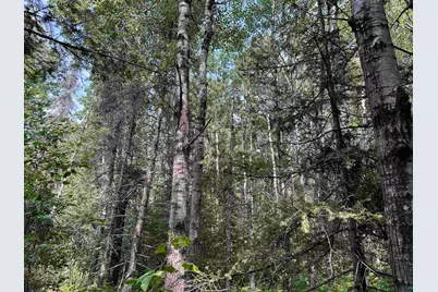 1888 Korkki Rd, Duluth, MN 55804 - Photo 31