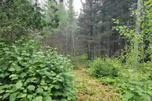 1363 Pike Lake Rd, Grand Marais, MN 55604 - Photo 37
