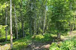 3644 Hwy 61 E, Grand Marais, MN 55604 - Photo 85