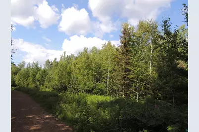 X1 Cougar Tr, Grand Marais, MN 55604 - Photo 1