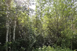 X2 Cougar Trail, Grand Marais, MN 55604 - Photo 1