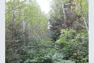 X3 Cougar Tr, Grand Marais, MN 55604 - Photo 1