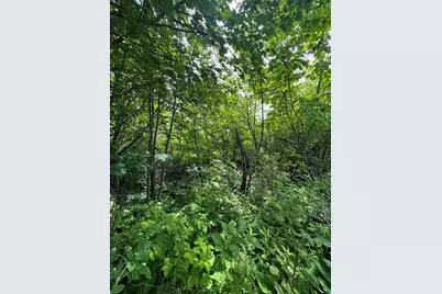 4X Hoaglund Dr, Tofte Township, MN 55615 - Photo 3