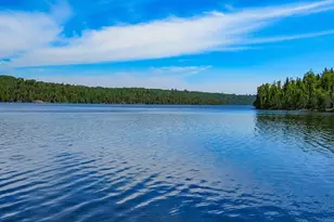 10028 Gunflint Trail, Grand Marais, MN 55604 - Photo 9