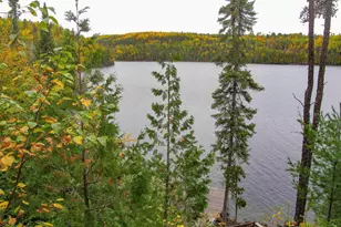 10028 Gunflint Trail, Grand Marais, MN 55604 - Photo 41