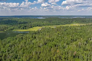 2538 Martilla Rd, Ely, MN 55731 - Photo 83