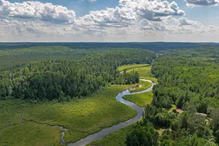 2538 Martilla Rd, Ely, MN 55731 - Photo 51