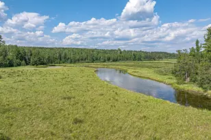 2538 Martilla Rd, Ely, MN 55731 - Photo 69