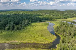 2538 Martilla Rd, Ely, MN 55731 - Photo 87