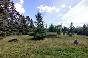 5273 Hwy 61 W, Lutsen Township, MN 55612 - Photo 7