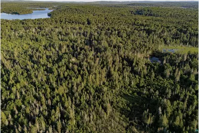 Tbd Hoist Lake Rd, Finland, MN 55603 - Photo 13