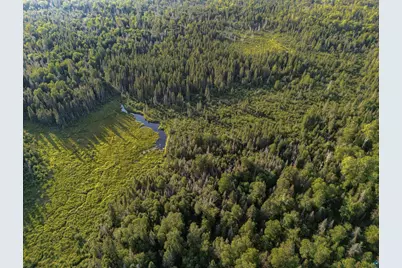 Tbd Hoist Lake Rd, Finland, MN 55603 - Photo 21