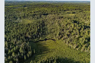 Tbd Hoist Lake Rd, Finland, MN 55603 - Photo 9