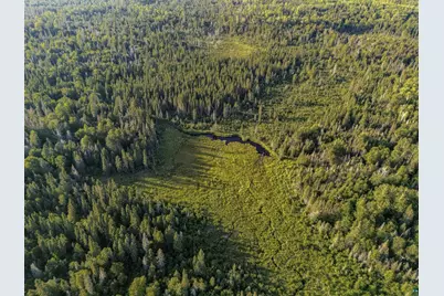 Tbd Hoist Lake Rd, Finland, MN 55603 - Photo 5