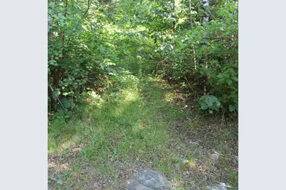 3297 Aspen Ln, Ely, MN 55731 - Photo 3