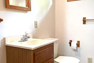 116 Fall Lake Dr, Winton, MN 55732 - Photo 21