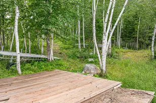1359 SW Shores Trail, Ely, MN 55731 - Photo 51