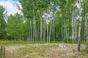 1359 SW Shores Trail, Ely, MN 55731 - Photo 55