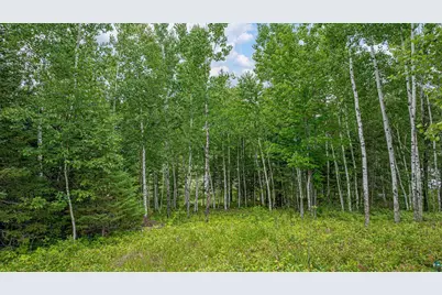 1359 Southwest Shores Tr, Ely, MN 55731 - Photo 59