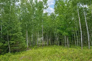 1359 SW Shores Trail, Ely, MN 55731 - Photo 59