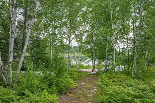 1359 SW Shores Trail, Ely, MN 55731 - Photo 45