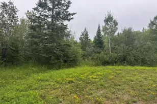 2231 Fors Rd, Two Harbors, MN 55616 - Photo 1