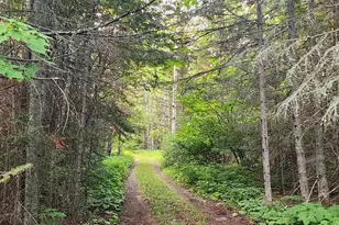 8 Devil Point Rd, Grand Marais, MN 55604 - Photo 29