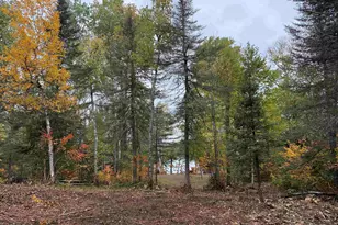 10 Gust Lake Dr, Lutsen, MN 55612 - Photo 21