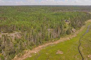 1736 N Grassy Rd, Ely, MN 55731 - Photo 93