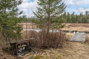 1736 N Grassy Rd, Ely, MN 55731 - Photo 69