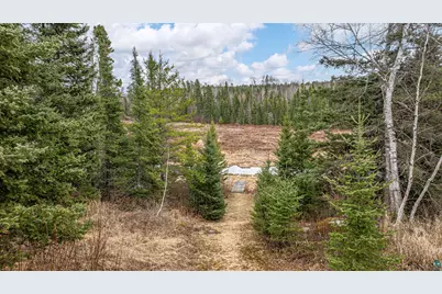 1736 N Grassy Rd, Ely, MN 55731 - Photo 67