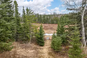 1736 N Grassy Rd, Ely, MN 55731 - Photo 67