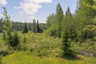 1736 N Grassy Rd, Ely, MN 55731 - Photo 59