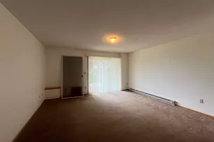 1341 Cliff Ave, Duluth, MN 55811 - Photo 69