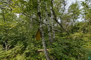 57 W Chisholm St, Duluth, MN 55803 - Photo 51