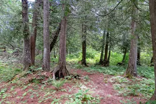 180 Caribou Trail, Lutsen, MN 55612 - Photo 43
