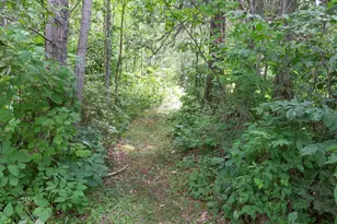 180 Caribou Trail, Lutsen, MN 55612 - Photo 41