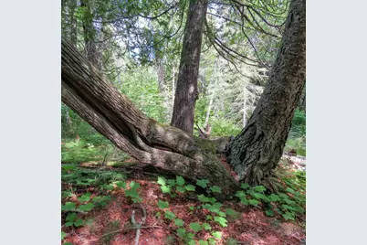 180 Caribou Tr, Lutsen, MN 55612 - Photo 49