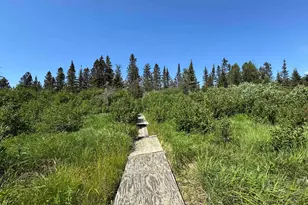782 Co Rd 6, Grand Marais, MN 55604 - Photo 29