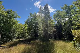 5076 Heffelfinger Rd, Finland, MN 55603 - Photo 27