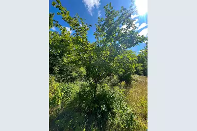 5076 Heffelfinger Rd, Finland, MN 55603 - Photo 29