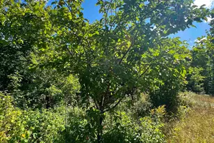 5076 Heffelfinger Rd, Finland, MN 55603 - Photo 29