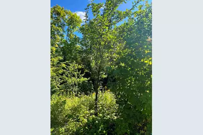 5076 Heffelfinger Rd, Finland, MN 55603 - Photo 31