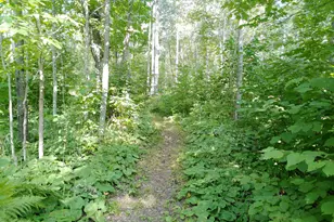 35 Wildwood Acres Trail, Tofte, MN 55615 - Photo 27