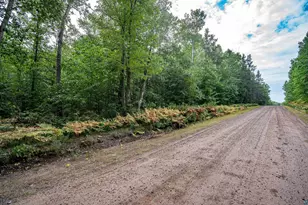 63Xxx Bradfield Rd, Iron River, WI 54847 - Photo 7
